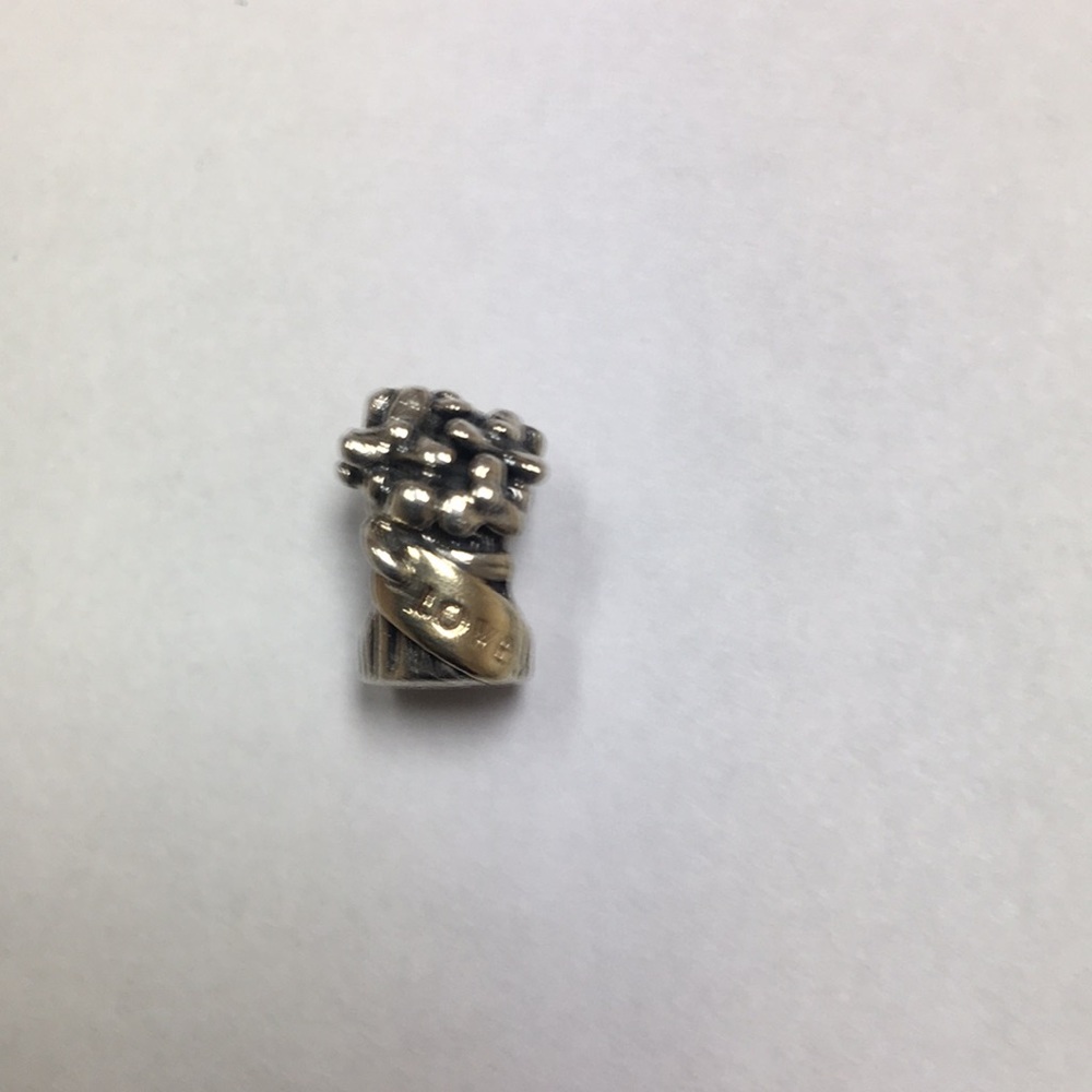 Pandora charm